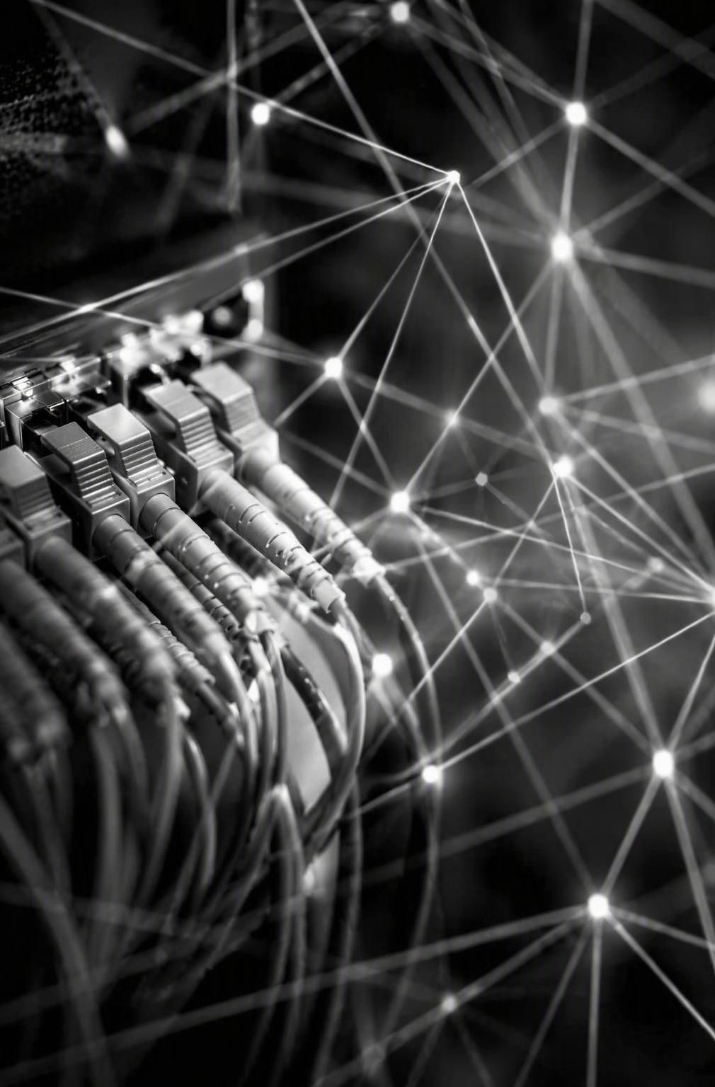 Network cables close-up